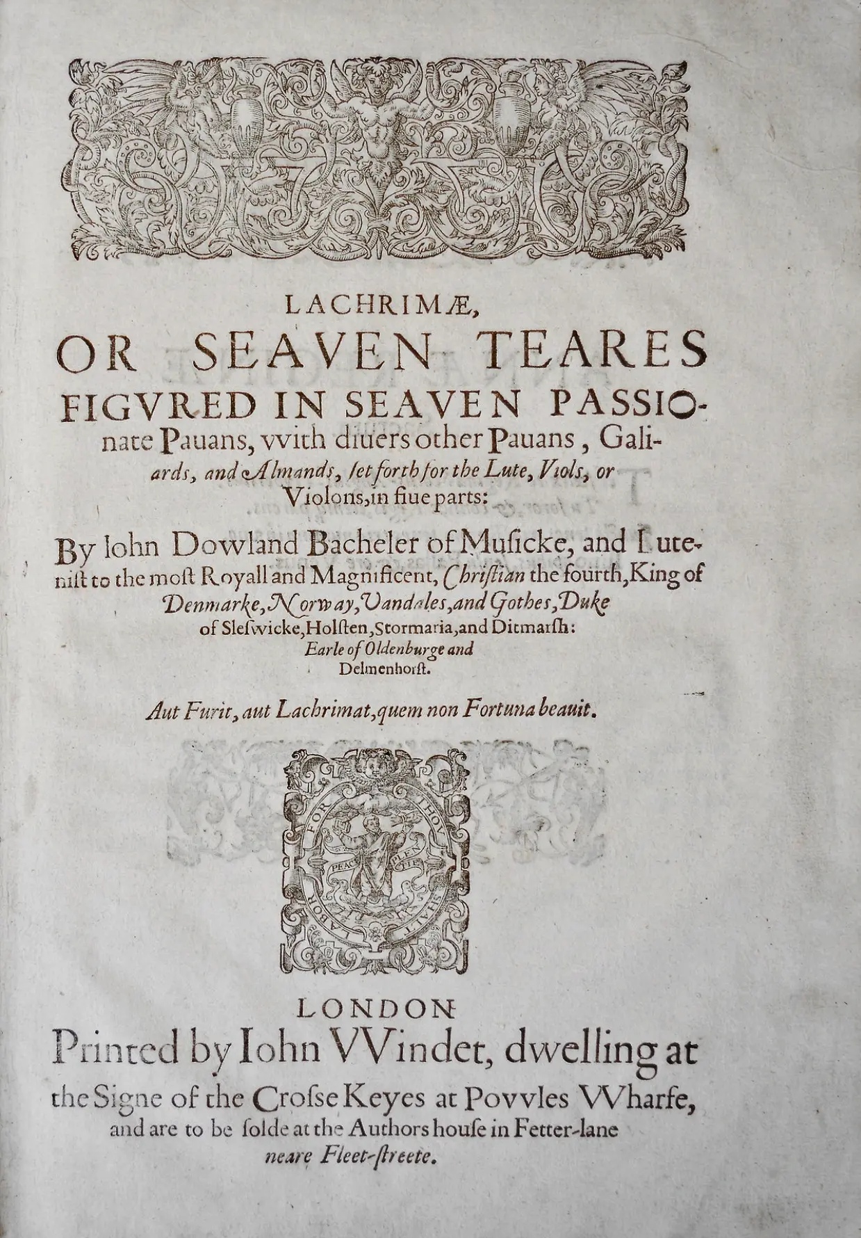 see the copy
 - image