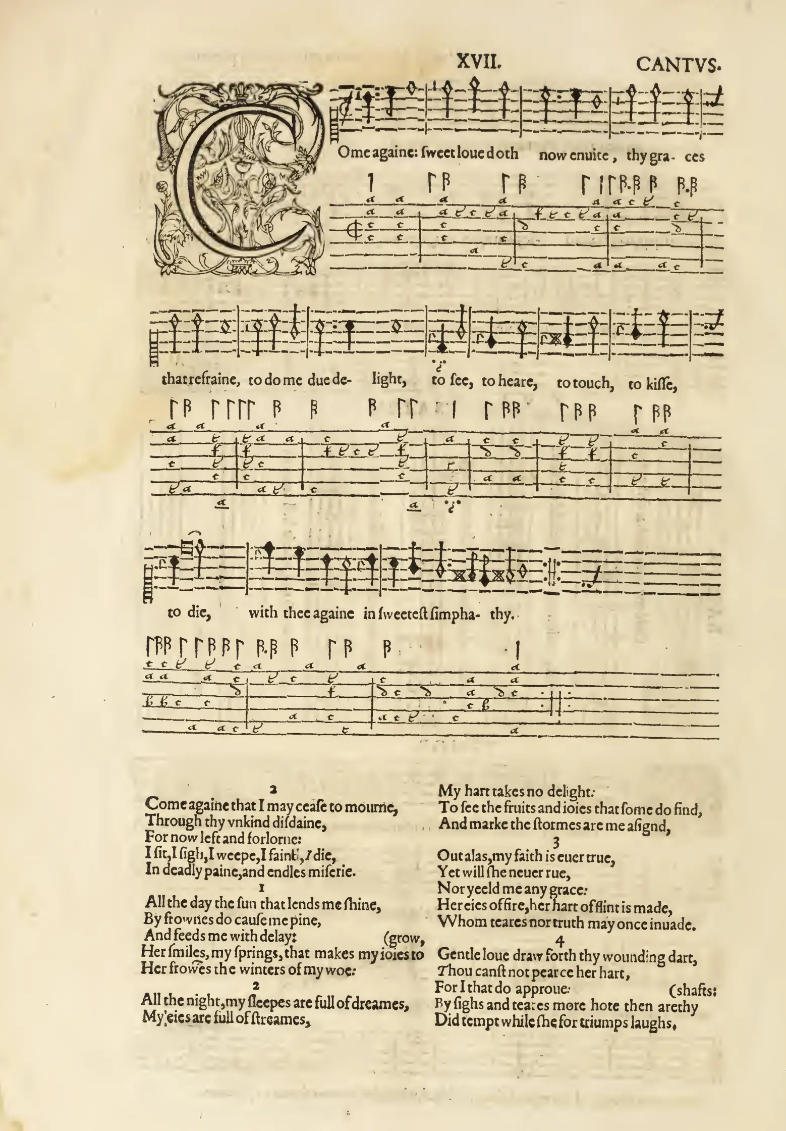 see a copy
 - image