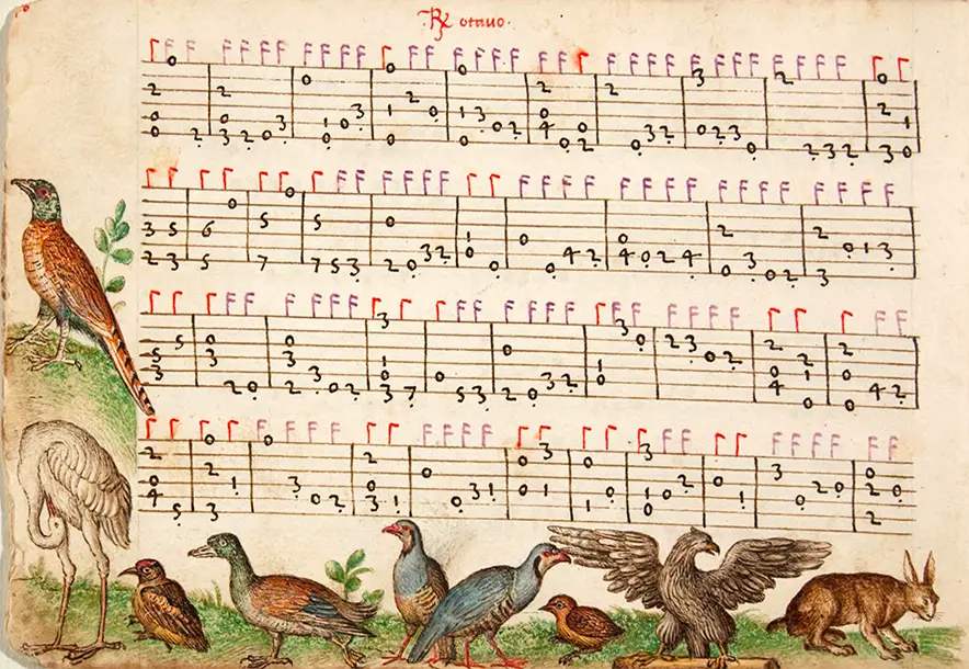 original source
 - image